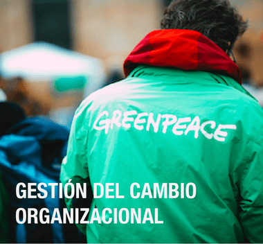 Lee más sobre el artículo Gestión del cambio y liderazgo transformacional en Greenpeace España