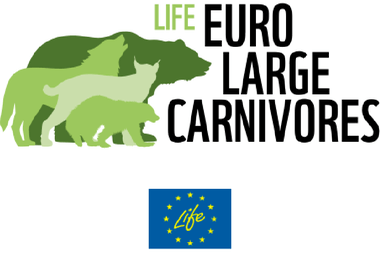 2019 Life Eurolarge Carnivores