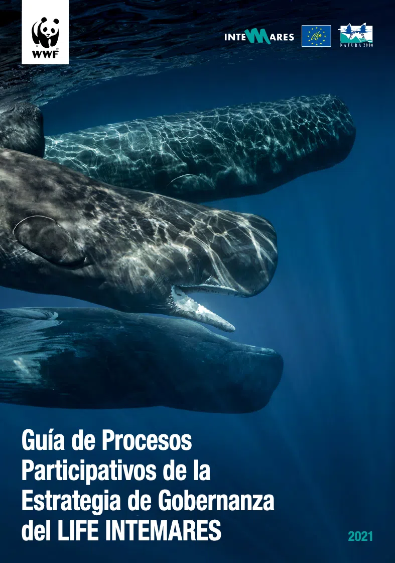 Lee más sobre el artículo Guía de Procesos Participativos de la Estrategia de Gobernanza del LIFE INTEMARES