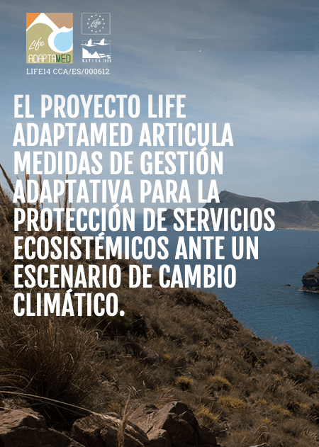 Lee más sobre el artículo Gobernanza adaptativa frente al cambio climático: recomendaciones para espacios naturales protegidos desde el proyecto Life ADAPTAMED