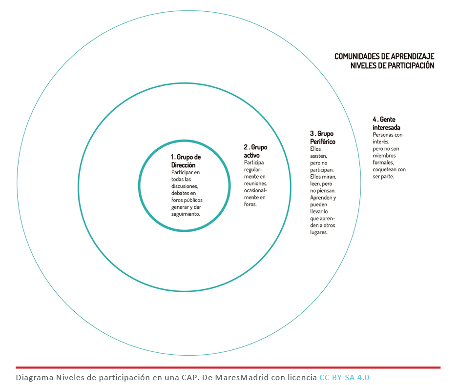 Diagrama Niveles De Participacion En Una Cap