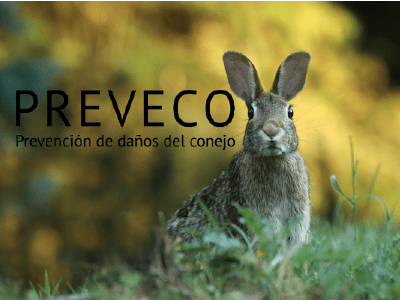 Preveco