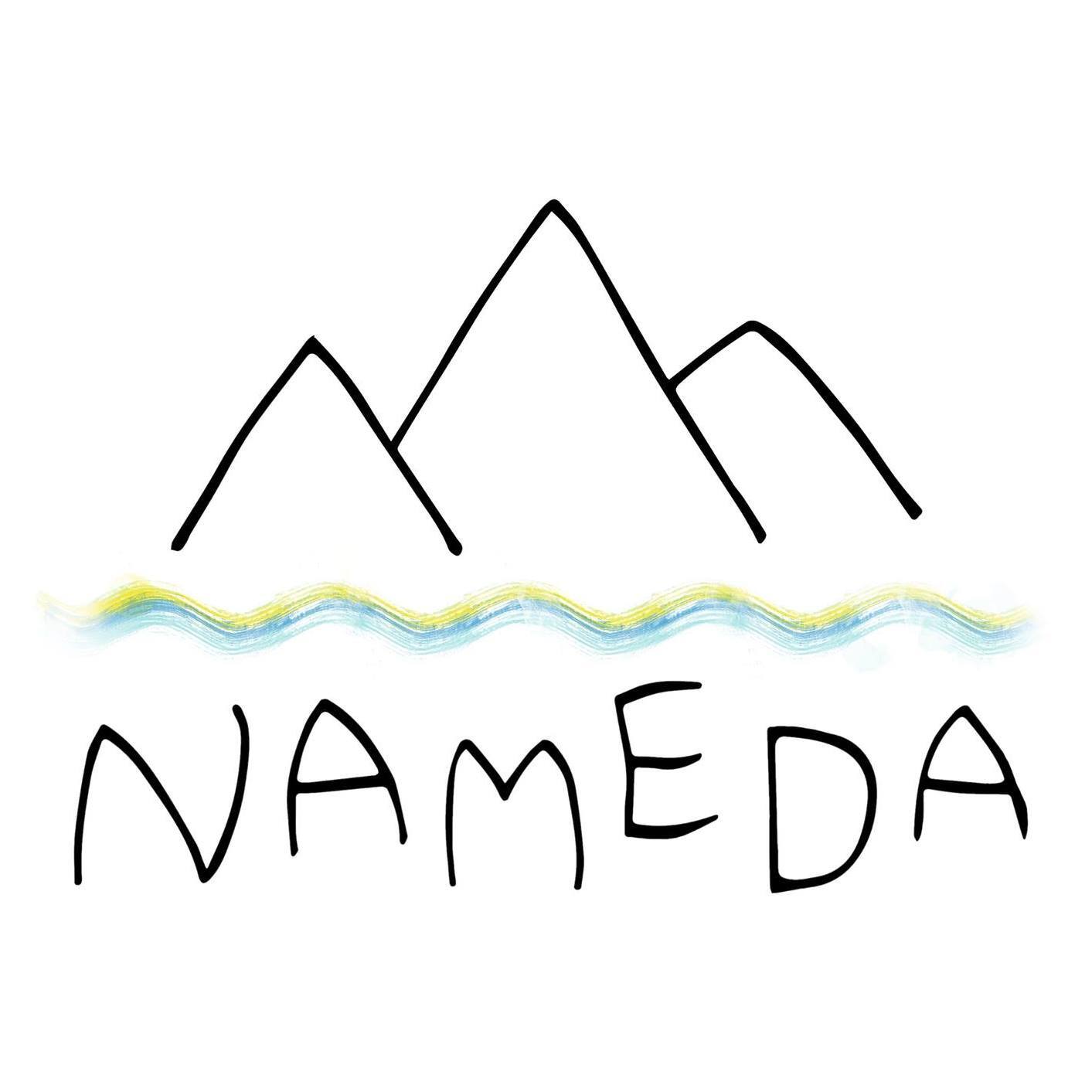 Nameda Logo